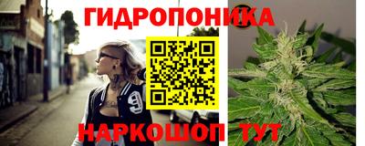 ПСИЛОЦИБИНОВЫЕ ГРИБЫ Тара