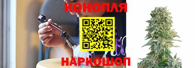 молекула духа Тверь