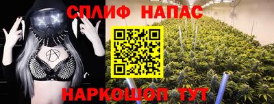 молекула духа Тверь