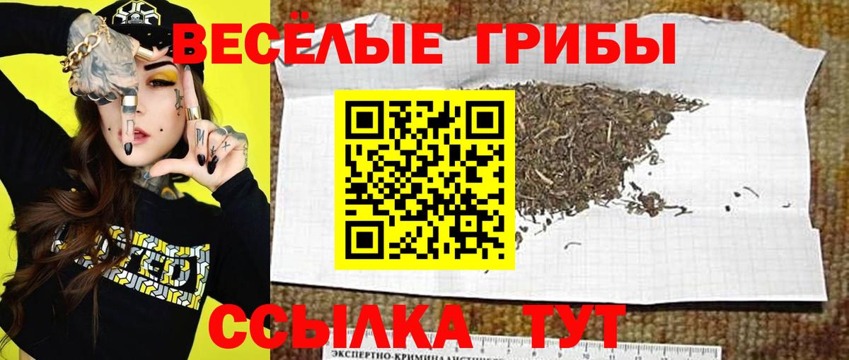 Псилоцибиновые грибы Magic Shrooms Нововоронеж